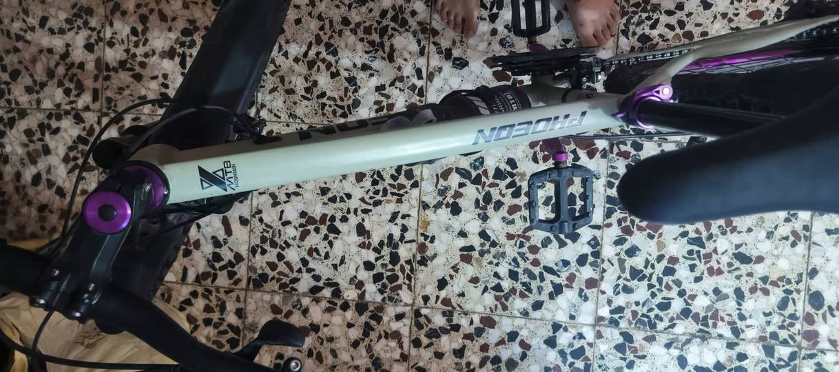 سلام عليكم بايسكل مستعمل شهر نظيف السعر 150,000 وبي مجال بسيط حق الجيه مكاني بغداد البايسكل برازيلي المعدن حديد وليس المنيوم بيع سريع لان محتاج فلوس
بايسكل حجم 26
ثلاثه جير امامي سبعه خلفي


**إذا كنت صاحب هذا الإعلان وتريد حذفه لأي سبب، رجاءا أرسل رسالة إلى الدعم الفني**