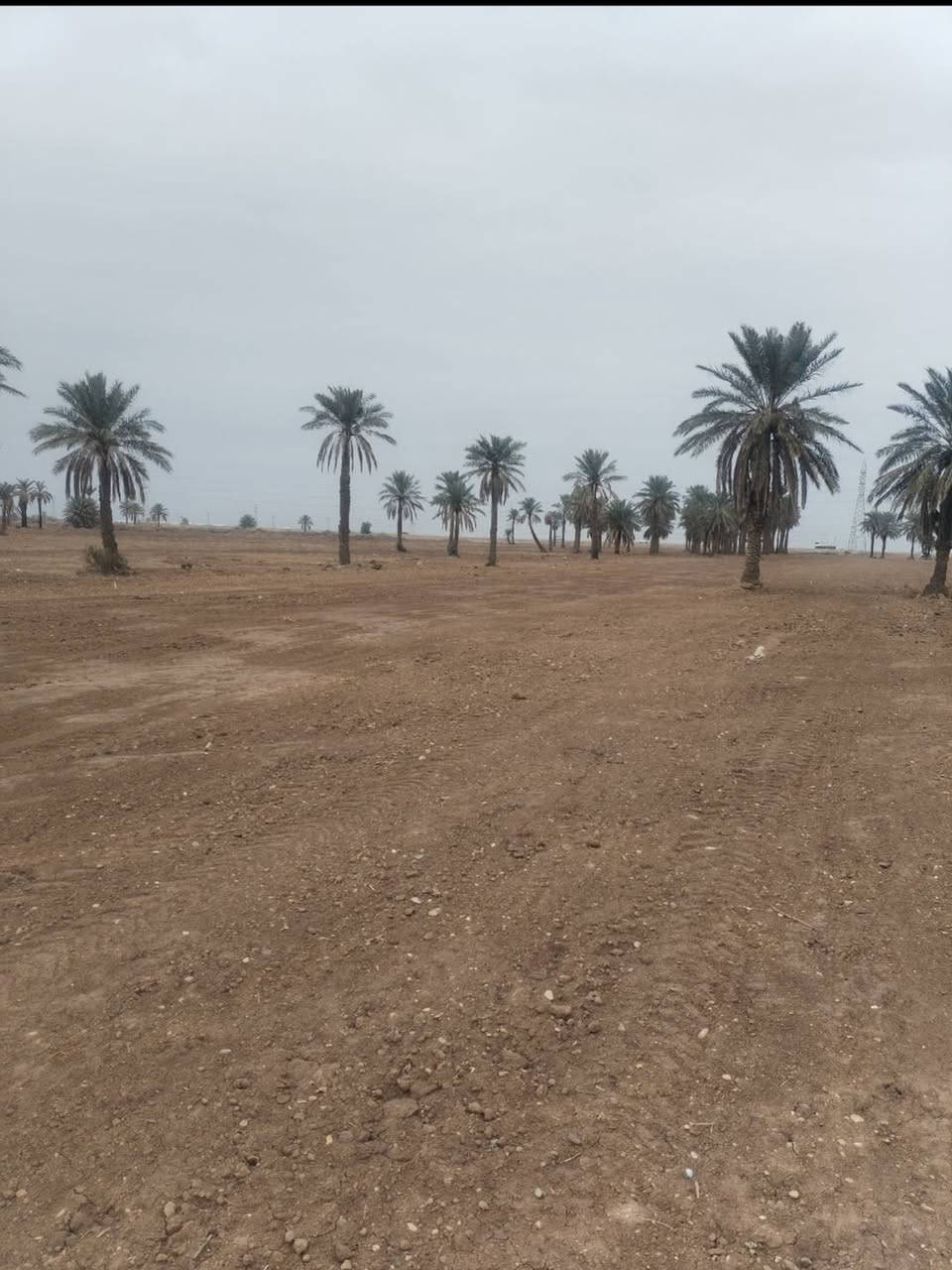 السلام عليكم 
توجد ١٠ دوانم طابو زراعي سند ٢٥
كوت طريق العام  بغداد قرب مركز شرطة السلام
وجه الكاع ٧٥ متر والطول ٤٥٠ متر متوفر جميع الخدمات للاستفسار الاتصال على الرقم ***********
***********
