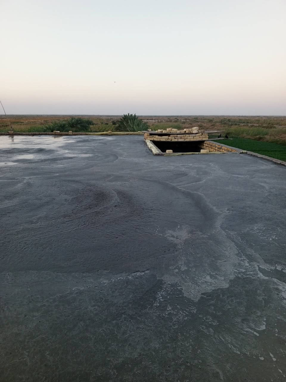 السلام عليكم اي شخص محتاج صبة نضافه صبة رباطات بسعر مناسب وشغل مرتب ***********
