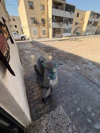 سكنس فحل • مكينة ٥٨ • معدل