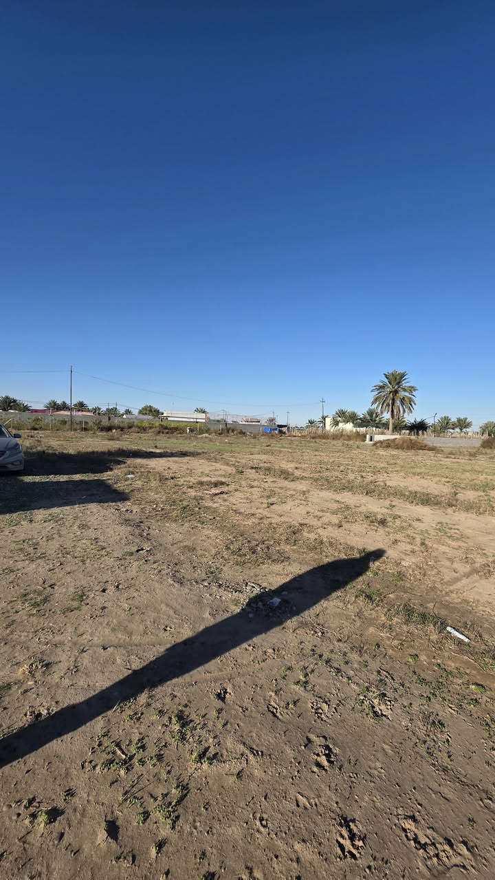 قطع اراضي للبيع المساحة 150 متر 
الاسعار مناسبة جدا 

الموقع شارع الحولي خلف معهد القلم 

للاستفسار الاتصال على ***********
