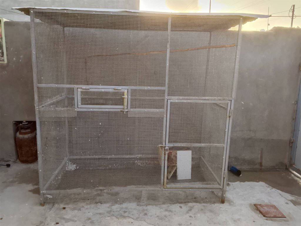 غراض للبيع مستعجل عنوان نجف


**إذا كنت صاحب هذا الإعلان وتريد حذفه لأي سبب، رجاءا أرسل رسالة إلى الدعم الفني**