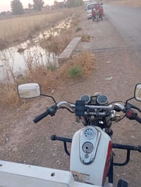 ستوته ام الطير • ٢٠٠ • ٢٠١٦