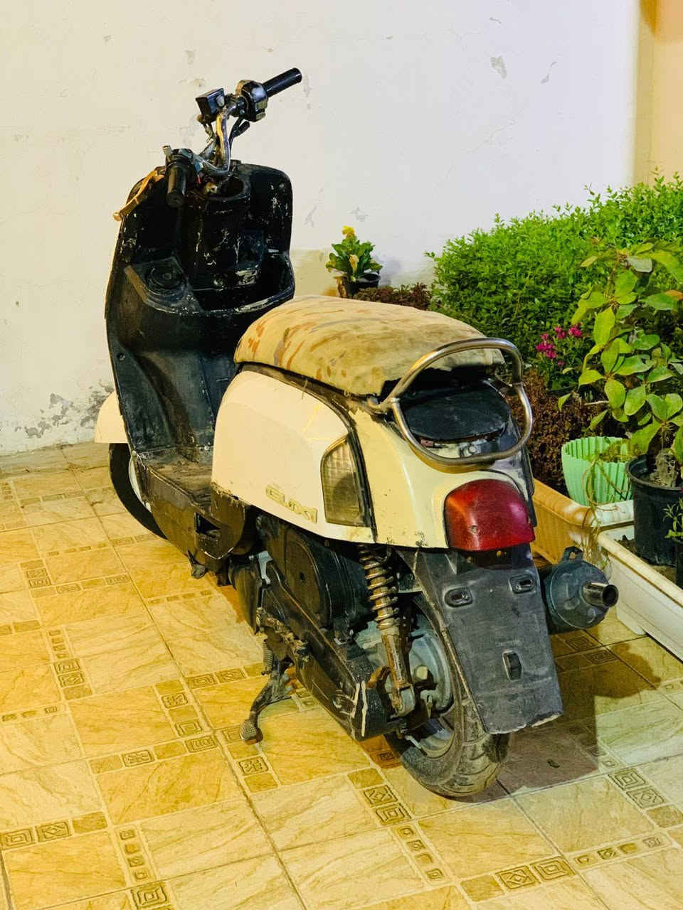 بوليسي شغالة خير من الله 
السعر/250
حله مركز 
***********
