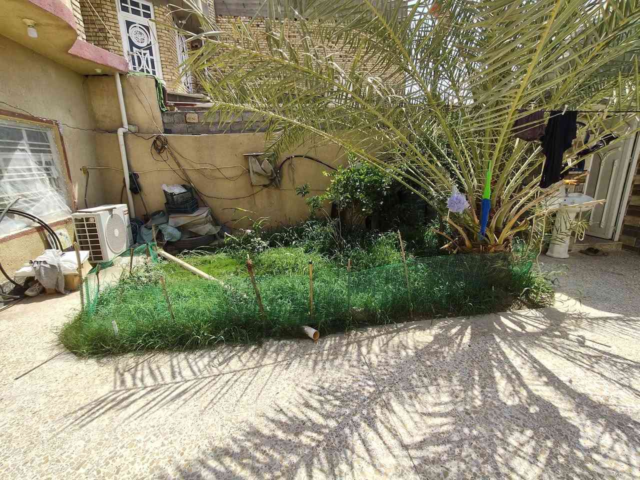السلام عليكم بيت للبيع واسط حي الحكيم نزلت حميد جادر يحتوي على غرفتين نوم وصاله واستقبال وصحيات وطرمه وحديقه بناء بلوك كافه خدمات من ماء من كهرباء مرقم قبل البلديه الشارع 10 طابو زراعي السعر خاص المراجعه دلاليه سيد حيدر مساحه البيت 200 عنوان المكتب نزله شهيد نزار داخل الفرع ***********
