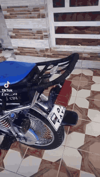 تايكر • مديل 2022 • ديالى مندلي