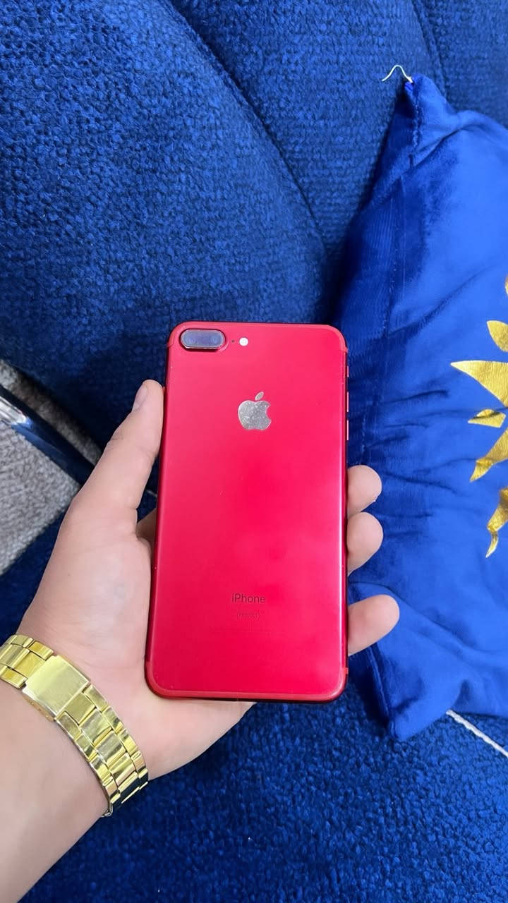 للبيع ايفون 7 بلاص ❤️،
مبدل بطاريه اصليه فول 

ذاكره 128 

نموذج m

بي ضرر خفيف بل شاشه   🖤،

سعر خاص او مرواس حسب القناعه

عنوان / تكريت التوحيد ***********
