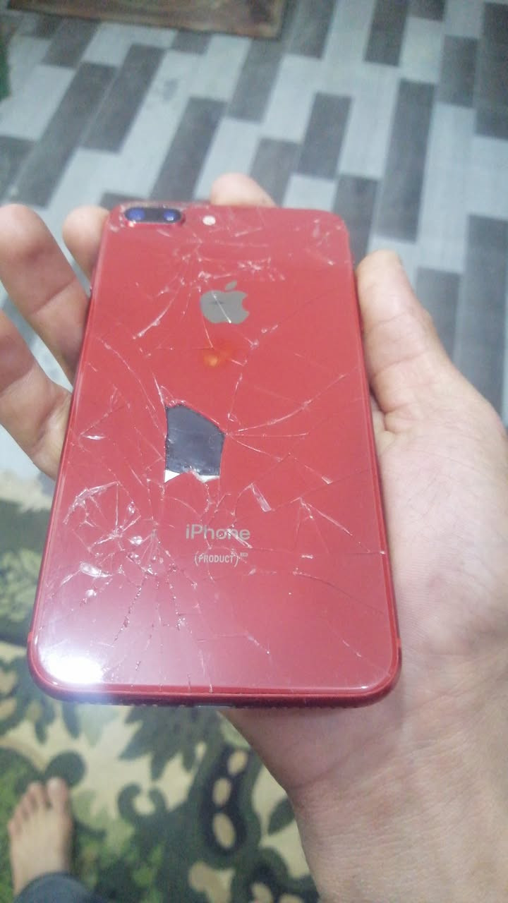 سلام عليكم مراوس مراوس مراوس بجهاز حسب القناعه جهاز ايفون 8بلاص جهاز بلادي مامفتوح اابد ومامبدل بيه شي فقط الضهر مكسور مثل ماموضح ذاكره64 اليحب يتواصل خاص


**إذا كنت صاحب هذا الإعلان وتريد حذفه لأي سبب، رجاءا أرسل رسالة إلى الدعم الفني**