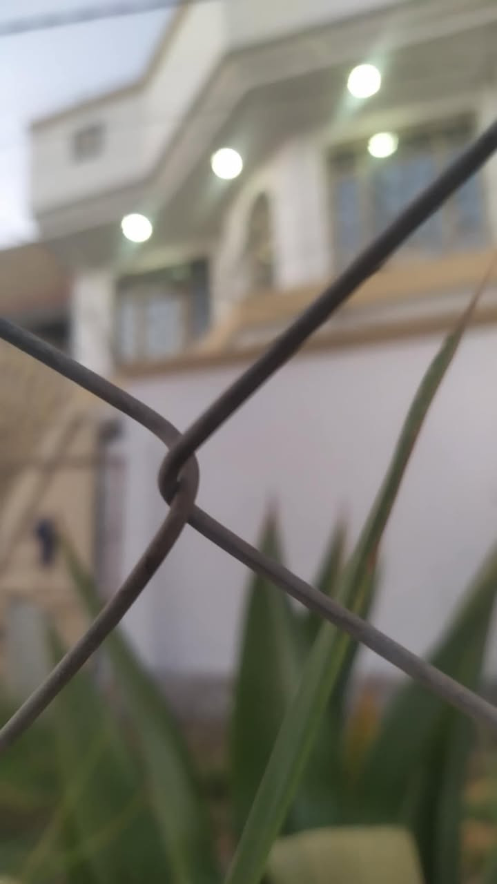 دار للبيع طابو صرف 
موقع مميز 
شارع 80 محيزم خلف مجمع السعبري، يطل على ساحة خضراء..
دار مساحتها 150 متر الواجهة 7.5 متر نزال 20 متر.
مكونة من طابقين 3 غرف مع ملحقاتها ومطبخ في كل طابق وثلاث مجمعات صحية ومخزن واستقبال وحديقة وگراج وحديقة خارجية 
***********
***********
