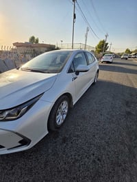 كورولا • ٢٠٢٣ • اربيل