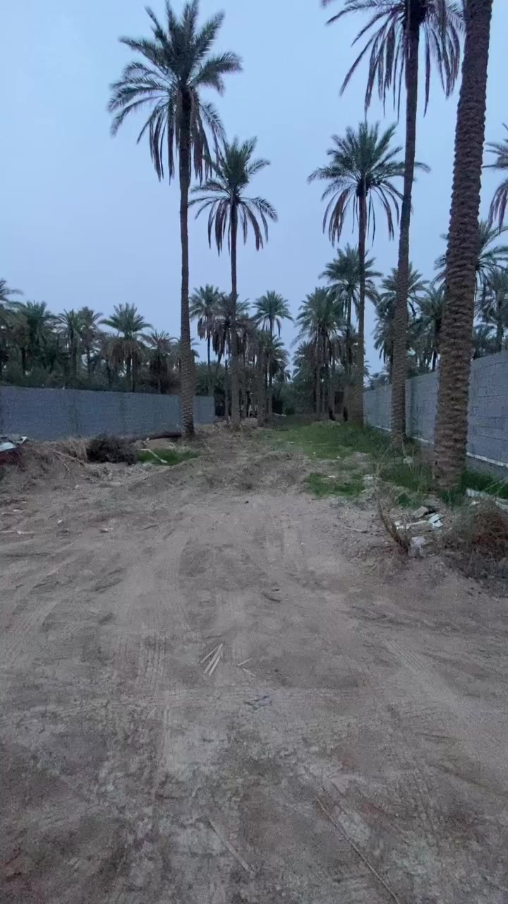 السلام عليكم 🫡 
قطعة ارض مساحه 500م للبيع

الموقع /ابو ماشه قرب مشتل العتبه العباسيه المقدسه 
وايضا قرب الكنطره البيضاء جدا قريبه 
عل الحرم المقدسه  اتفيد سكن وايضا مكان لترفيه 
بسعر جدا مناسب للموقع 
فقط //125  مليون 
لاستفسار //***********
