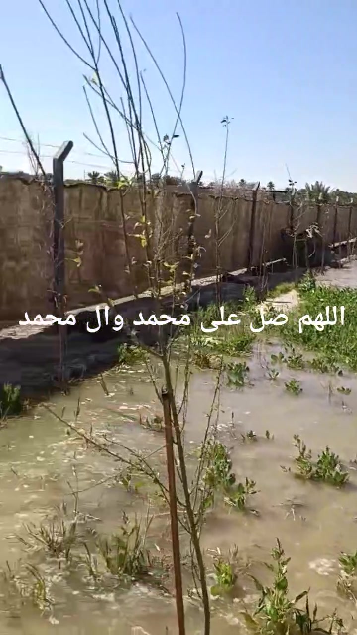 السلام عليكم
دونم 2500 طابو زراعي سند 25
للبيع خلف مجمع حسين مارينا 
 للاستفسار الاتصال ع الرقم ***********
