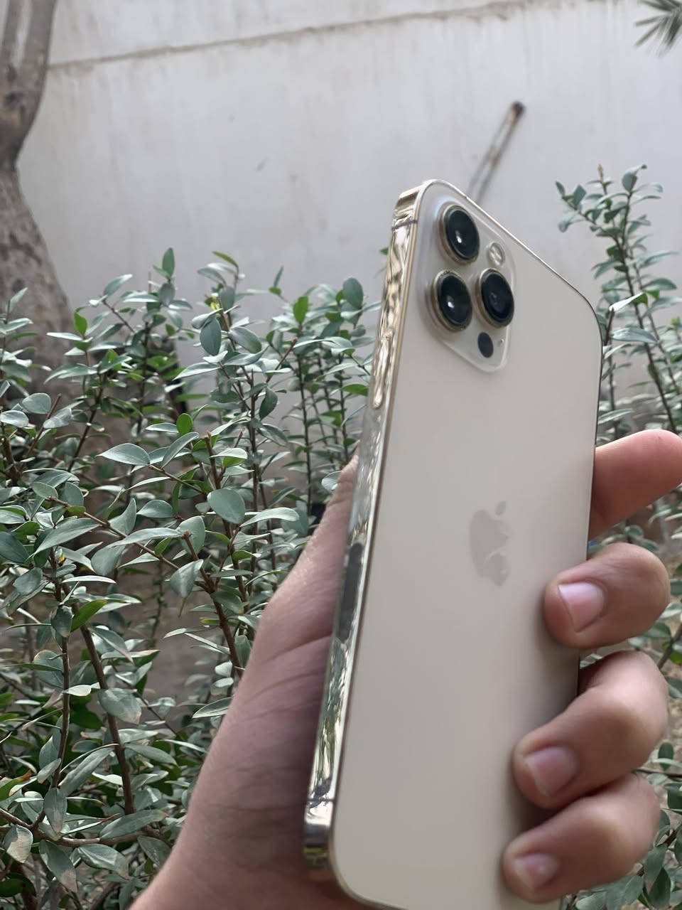 آيفون 12 برو ماكس للبيع ذاكره 256 بطاريه 77 مقفول ايكلود نضيف حيل ولا شخط بي كله شغال مقفول ايلكود بس سعر 250 وبي مجال


**إذا كنت صاحب هذا الإعلان وتريد حذفه لأي سبب، رجاءا أرسل رسالة إلى الدعم الفني**