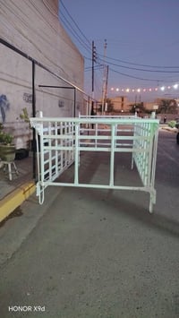 محجر • فحل