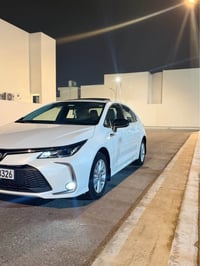 كورولا • ٢٠٢٥ • رقم اربيل