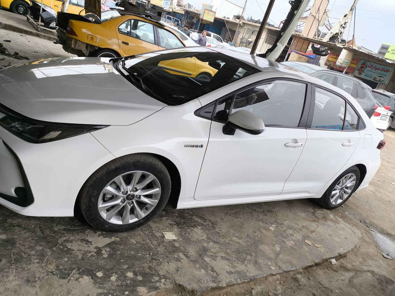 كورله 24كفاله وفول مواصفات ماشيه 16الف جديده ةماتعبانه مكاني كربلاء الاستفسار***********
