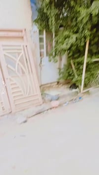 كربلاء المقدسة • باب بغداد • ١٠٠م ٢غرف