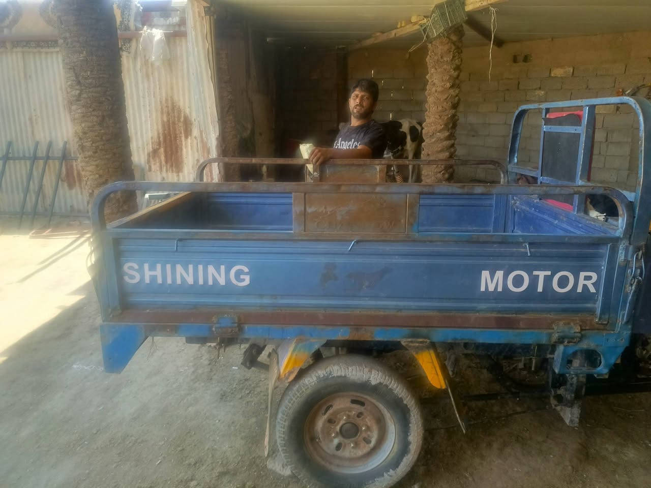 ستوته لبيع وراق صولي ***********
بيه واتساب
