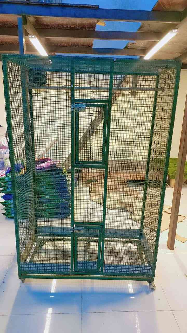 متاح نواع القفاص الحديد المكان العمارة ابرمانة ***********
موجود وتساب الي ما عدة رصيد 
مكلف بل نشر شراي يخابر رجان
