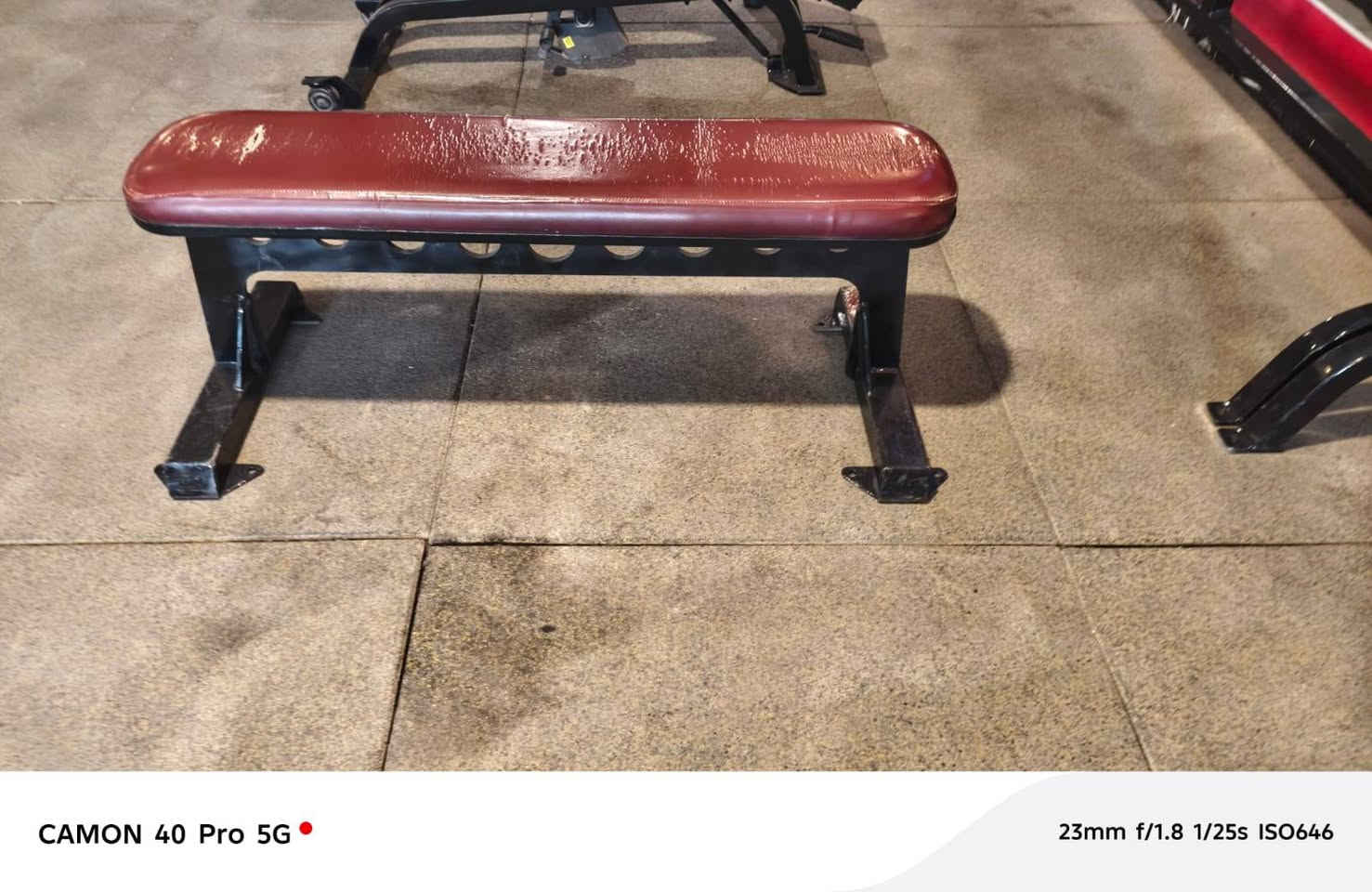 قاعه كامله للبيع سعر  مابيها اي نقص العنوان بغداد ***********
1.بنج همر اعلى
٢. بنج همر اسفل
٣. بنج جهاز مستوي جالس
٤. بنج جهاز اعلى
٥. جمع جهاز اعلى
٦. جمع فراشه
٧. سحب همر من الأعلى
٨. سحب همر متكأ الصدر
٩.سحب همر من الاسفل
١٠.سحب T حر
١١. سحب تي  متكأ الصدر
١٢. باك ارج
١٣.عقله مع مساعد وبرليل
١٤. ضغط جهاز اكتاف
١٥. شراكس هز اكتاف
١٦. سحب بكره ارضي
١٧.سحب بكره جالس أمامي خلفي
١٨. بكره متقابل
١٩. كيل لاري
٢٠َ. كيل همر مائل
٢١.كولف جالس
٢٢. كولف مائل
٢٣. هاك باك
٢٤.دفع ماكنه
٢٥. كيل سيقان خلفي جالس
٢٦. كيل سيقان خلفي نائم
٢٧. كيل سيقان أمامي
٢٨. قاعده دبني
٢٩. نشر جهاز أكتاف للجانب
٣٠.سمث
٣١. شفتات سيت عدل وz
٣٢. لف جذع
٣٣. جهاز معده
٣٤َ.ساعد
٣٥.مصاطب بنج سيت عدد ٣
٣٦. مصاطب متحركه عدد ٧
٣٧.شفتات صغار عدد ٢
٣٨ شفتات كبار عدد٤
٣٩. سيت دمبلص مع حماله
٤٠. أقراص
