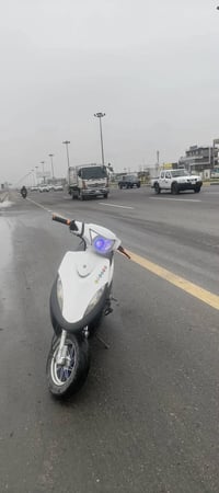 مراوس • بيراني • شحن