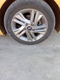 ويل كب 15 أمريكي اريد مراوس بويل اسود 07707843131