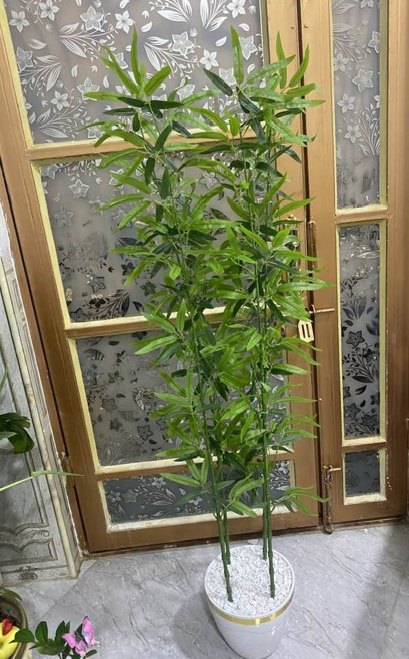 طلب الزبونه شجره البامبو يتوفر خدمه توصيل 🚚


**إذا كنت صاحب هذا الإعلان وتريد حذفه لأي سبب، رجاءا أرسل رسالة إلى الدعم الفني**