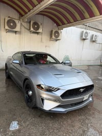 موستانغ • ٢٠٢٣ • حادث غرق