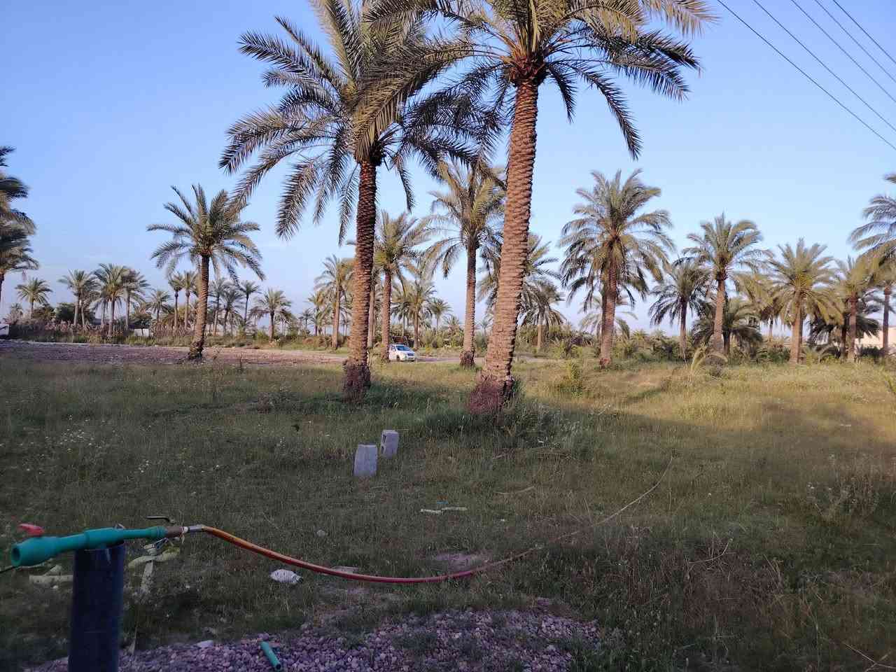 سلام عليكم يوجد لدينا قطعت أرض المساحة ٢دونم الواجهة ٥٣ ونزال ٩٥ صايره ركن عله شارعين وبيها نخل كله برحي +حمضيات الكاع طابو ملك صرف العنوان بغداد اليوسفية حي شهداء شارع ضباط وباقي الاستفسار
***********

سلام عليكم يوجد لدينا قطعت أرض المساحة ٢دونم الواجهة ٥٣ ونزال ٩٥ صايره ركن عله شارعين وبيها نخل كله برحي +حمضيات الكاع طابو ملك صرف العنوان بغداد اليوسفية حي شهداء شارع ضباط وباقي الاستفسار
