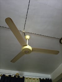 بنكات • عدد ٣ • مداخلات