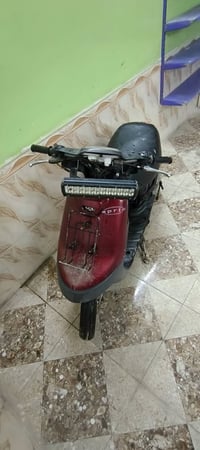 بطة • ١٩٩٧ • شغالة