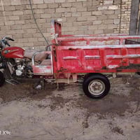 ستوته • بدون أوراق • ميسان معمل الورق