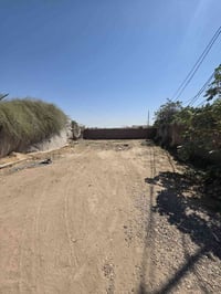 طابو زراعي • ١٣٠م • سند ٢٥