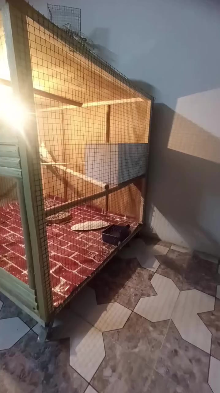 قفص للبيع مستخدم شهر واحد
قياسات القفص العرض100الارتفاع80العمق 80

مكاني موصل الجانب الايمن


**إذا كنت صاحب هذا الإعلان وتريد حذفه لأي سبب، رجاءا أرسل رسالة إلى الدعم الفني**