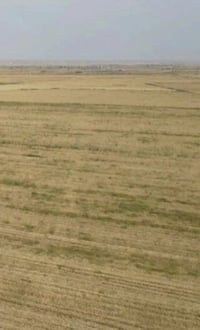 فرصةاستثمار $$$$ للبيع (25 )دونم ارض زراعي سند( 25 ) طابو المحمودية: ب...