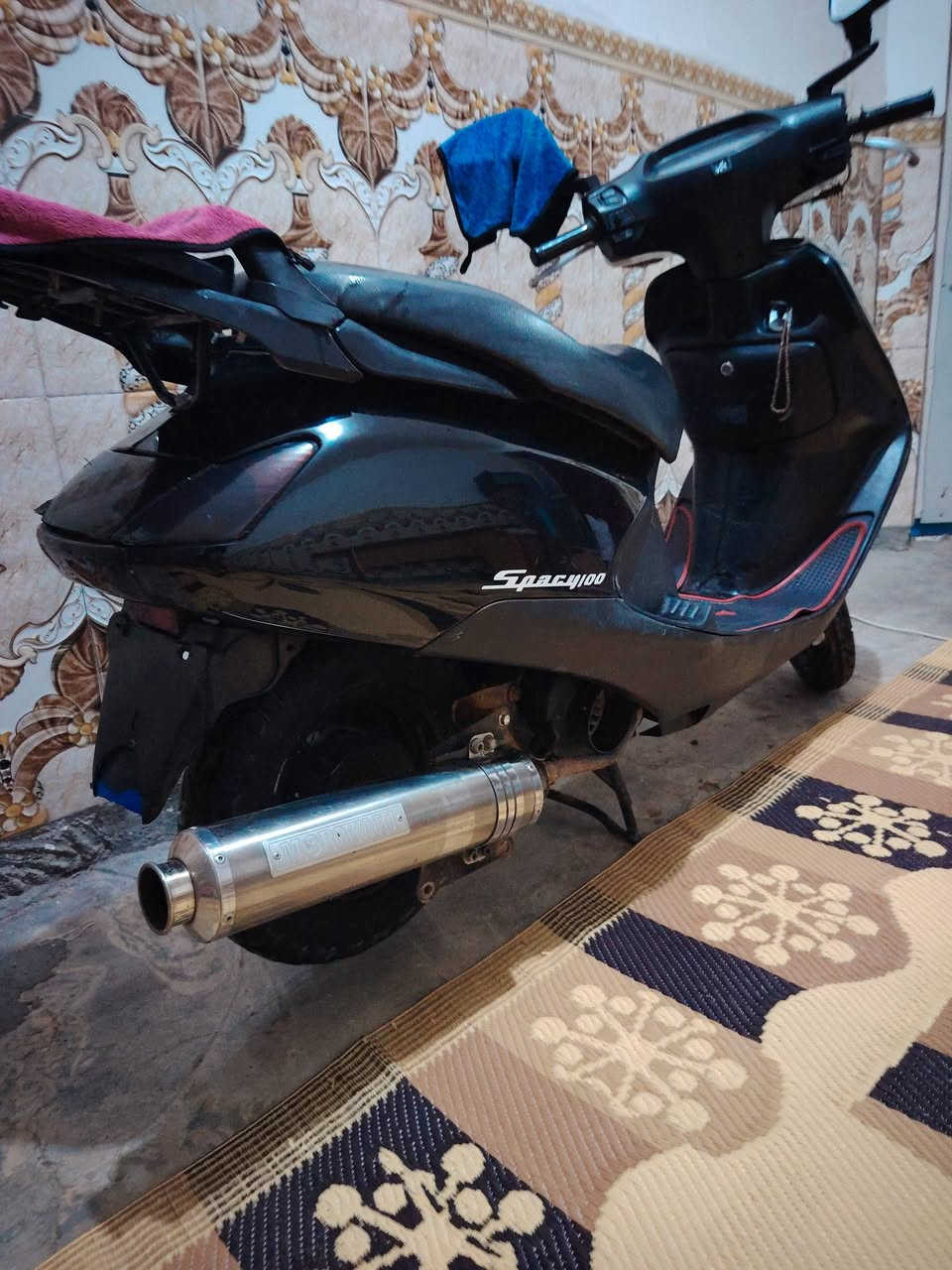 سلام عليكم صالنصه رياضي مال سبيسي البيع مكان كوت زويريجات الشراي يتصل ***********
