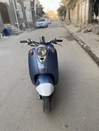 مصرية • فحل • دبل خلفي