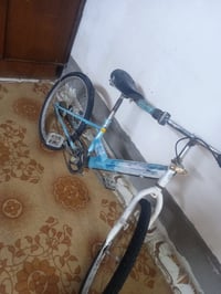 باسكل • نضيف • حجم 22