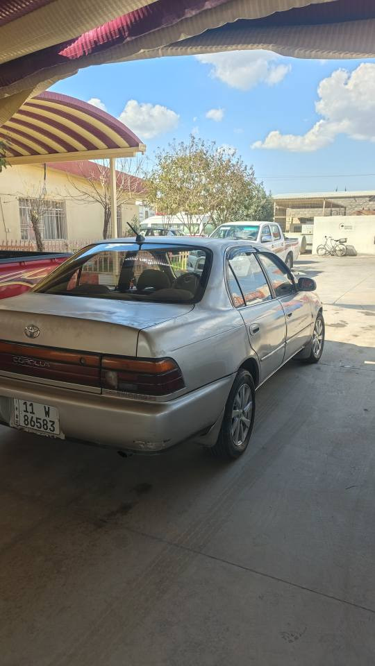 كورولا لون سلفري رقم بغداد صاحبه الشرعي بكركوك تحويل وكاله بكيفك .... 
***********
*********** كركوك, العراق
