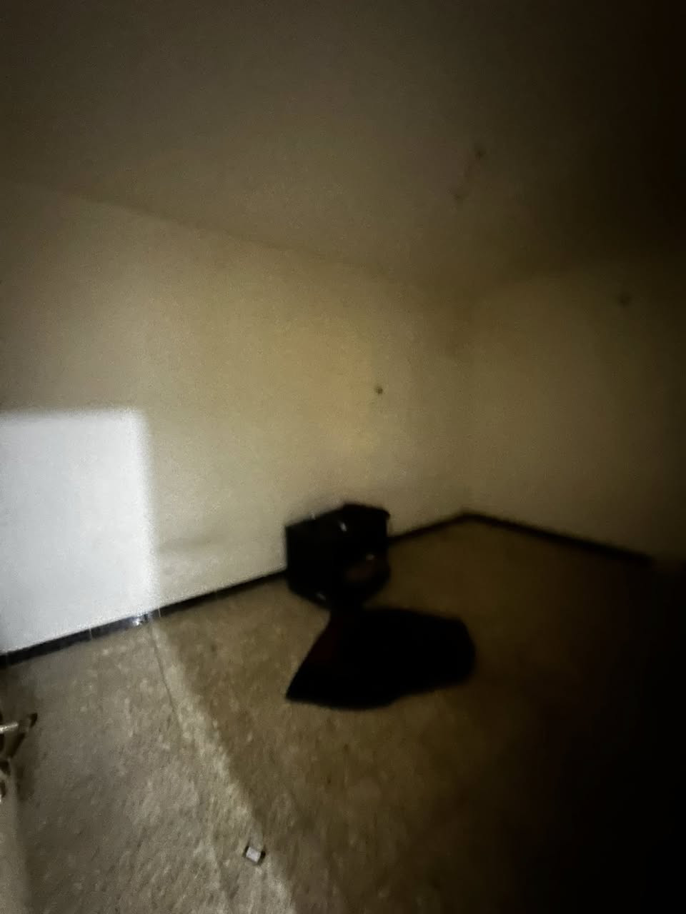 #للايجار____في____السيدية 

شقة طابق اول فوق الارضي 

تحتوي على ثلاث غرف نوم وصالة ومطبخ وخدمات 

قيمة الاجار:600 الف 

للاستفسار:***********

او زيارة مكتب الفهد الهندسي للمقاولات العامة/شارع جامع الاقصى مقابل مكتبة الحكم سنتر
