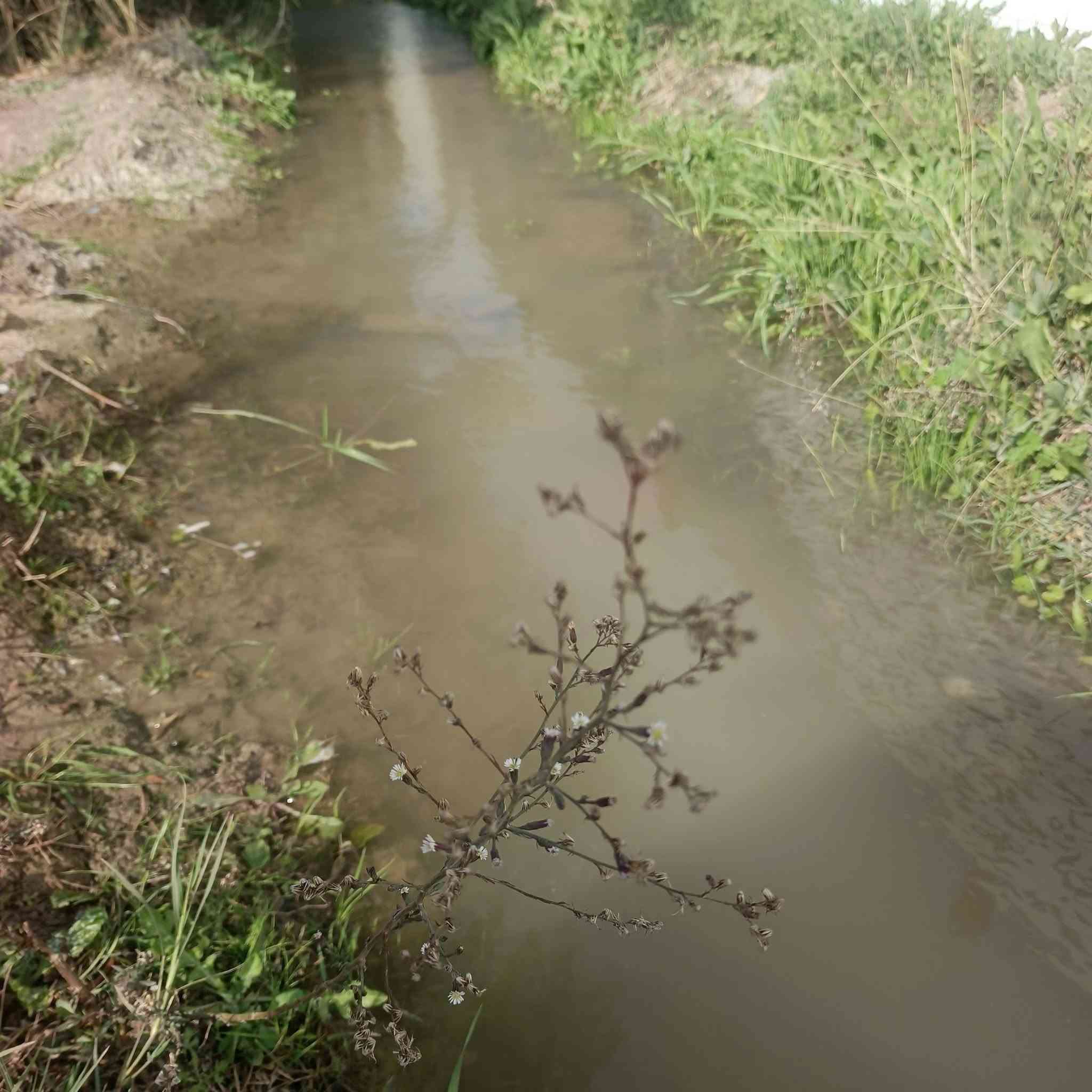 السلام عليكم ورحمة الله #2دونم #للمراوس #بسيارة حديثة واجهة 50ونزال 100تصلح مزرعة اوسكن  تبعد عن طريق السريع الدورة 5دقايق وعن المحمودية 5دقايق  العنوان بغداد الرشيد الجسر الثالث جسر عدنا الفهد قرب نهر القائد متوفر خدمات ماء سقي مع بير ارتوازي مع كهرباء وتبليط #***********#
