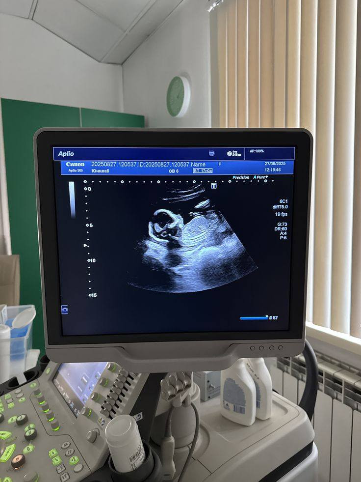 الدكتورة
                 #خنساء_حميد_الدليمي
طبيبة اختصاص بورد(دكتوراة ) جراحة الأمراض النسائية والتوليد
#ماجستير_في_معالجة_العقم
معالجة مشاكل العقم المعقده والممتده لسنوات عديدة
#الفحص_بجهاز_السونار_الحديث_والدوبلر
#مجمع الرازي الطبي ابوغريب الحصوه
مجاور صيدلية غفران عامر سامي
للحجز والاستفسار ***********_***********
