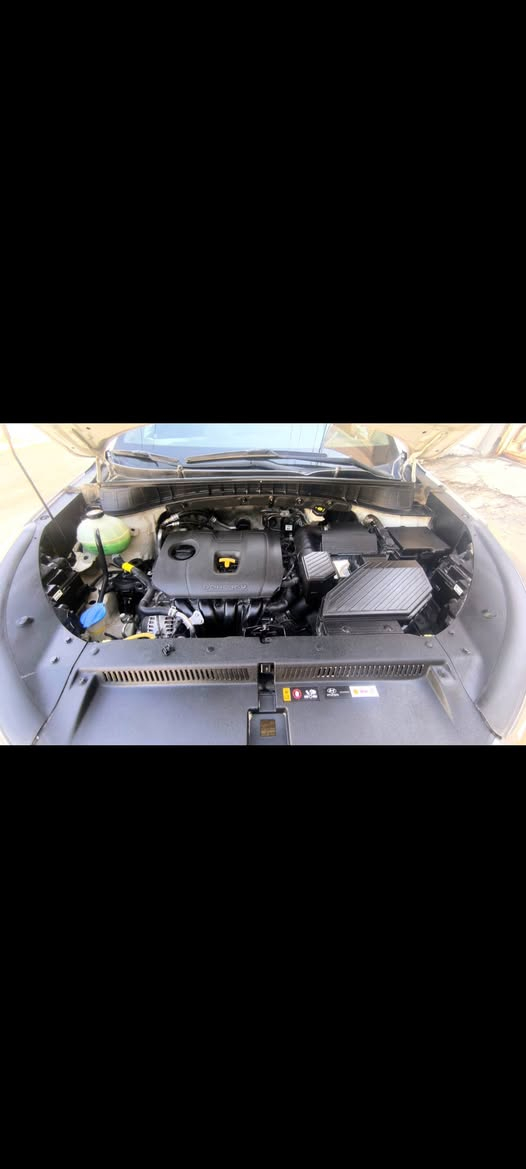 للبيع فقط 
توسان 19 الكاصد فول مواصفات 
باسمي سنوية 2029 رقم بغداد دولي
مكانها بالنجف
محرك 2000 
بانوراما 
شاشة ابل كار بلي
حساسات
لد امامي خلفي
لايت 5 عدسات
ليد امامي خلفي
لايت دوار ويه الستيرن
اشارات بالمري ومري شفط
اشارات ترحيب باب ومري
كير 3 انضمه 
بصمه
ثلاجة
دفيوزر امامي خلفي
سايد بريك برجل
كشنات جلد كهربائيه
تبريد قطعتين
ثلاجه بالجكمجة
بيها صبغ قليل بقبق الجنطة من دون  فتح
غير متواجد على الفيس
موبايل ***********
