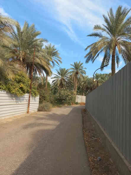 بسمه تعالى ونستعين / ((١٠٠٠م للبيع )) الواجه على فرعي مبلط ٣٠م طابو ملك صرف بستنه إقرار محكمه. تتوفر جميع الخدمات.              عباره عن شاليه استراحه. حدائق وغرفة استراحه مكان للشوي ومسبح وكما موضح بالصور التي هي طبقا. لواقع الحال تبعد من مركز. كربلاء والامامين عليهم السلام حدود.    ه كم العنوان طريق السيده زينب عليها. السلام وقرب حدائق. العتبه السعر ٤٥٠ مليون مجال جدا قليل ومداوله مع مالكها  للاستفسارات. واصلونا. هاتفيا واتساب خاص دمتم سالمين ( *********** )
