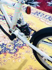 بيسكول SIAEI • حجم 20 • ديوانية الإسكان