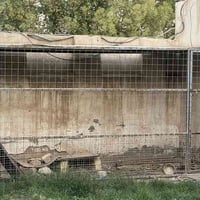 قفص حديد للبيع سعر 300 وبي مجال تواصل 07771056466