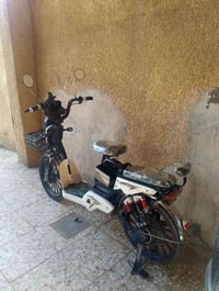 شحن ٢٤ • بطاريات زينة • طارمية