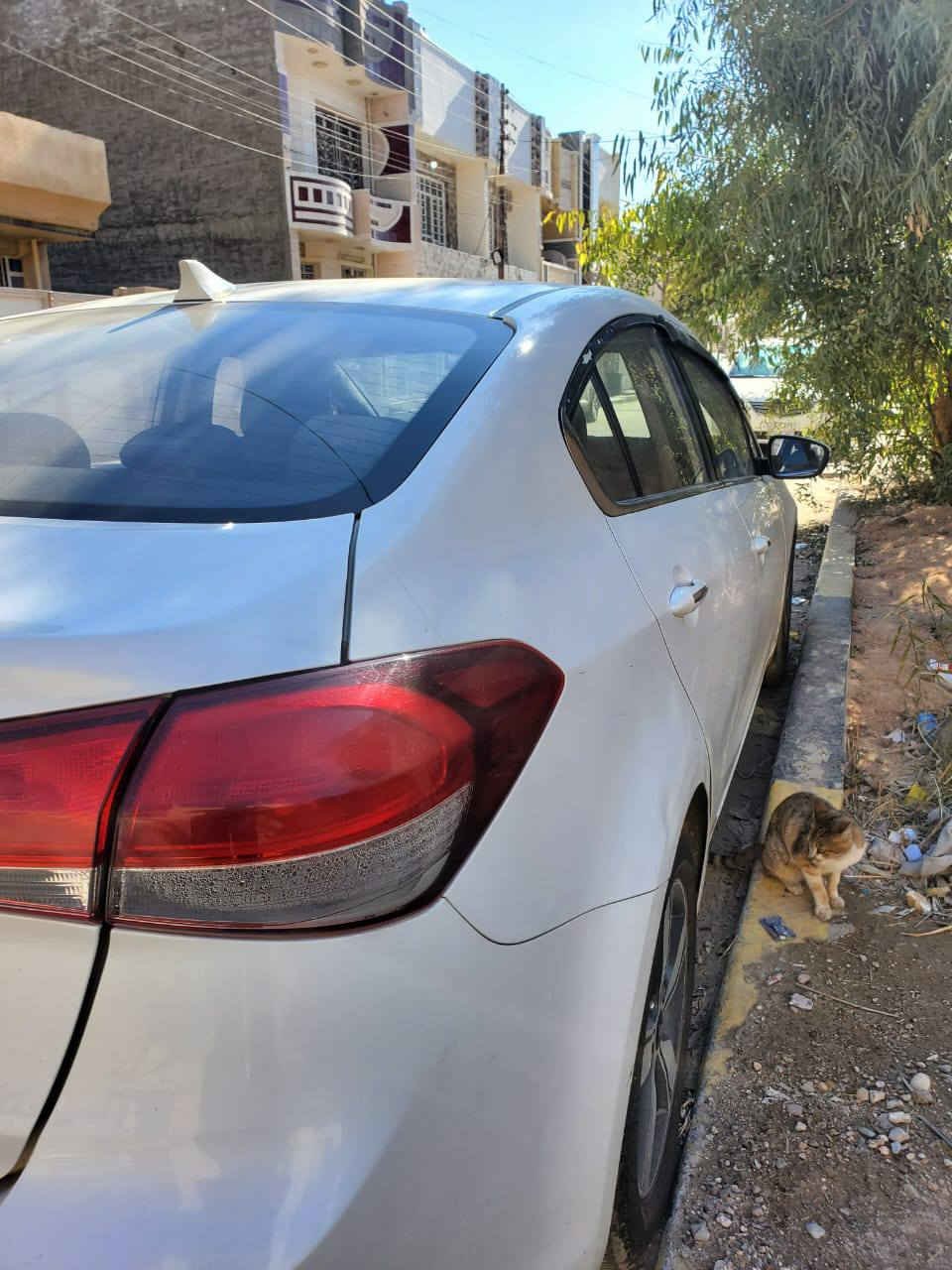 سيراتو اربيليه موديل 17 خليجي
محرك 1600 gdi
سنويه وكاله (ساقطه)
بيها ضربات خفيفه بدون تصليح عل حطتها الضربات 
السعر 130 وبيها مجال بسيط  
العنوان بغداد الثعالبة 
رقم الهاتف ***********
