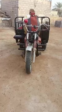 ستوته للبيع او مراوس ام تيار اكسل ام طير لعده مراوس يتفظل 07810210705 ...