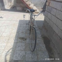 بيسكل • للبيع